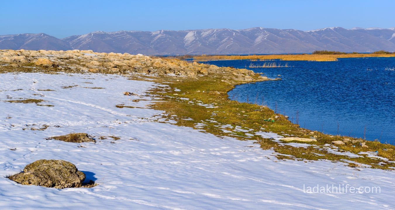 Salt lake Tso Kar in Rupshu Plateau Ladakh with marshlands and mountain backdrop